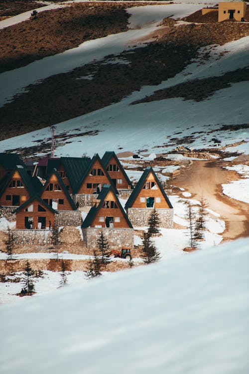 Cabin Cottages on Snow Covered Ground Photo