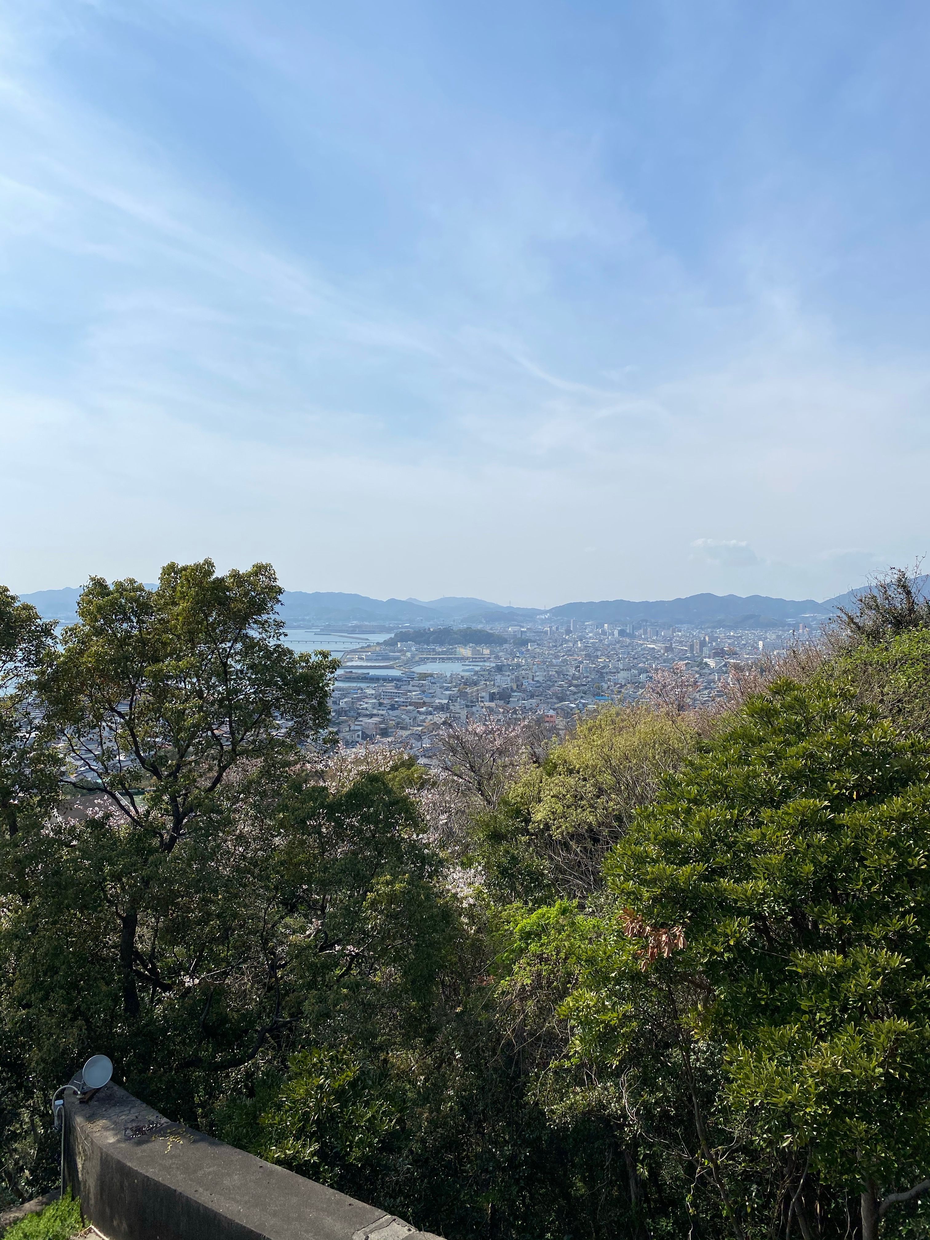 Photo of Green Trees Near a City Under a Blue Sky · Free Stock Photo