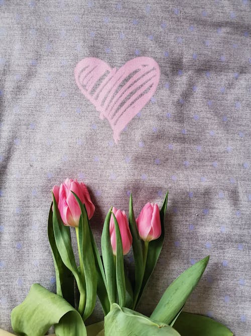 Ücretsiz bahar, bitki örtüsü, Çiçekler içeren Ücretsiz stok fotoğraf Stok Fotoğraflar