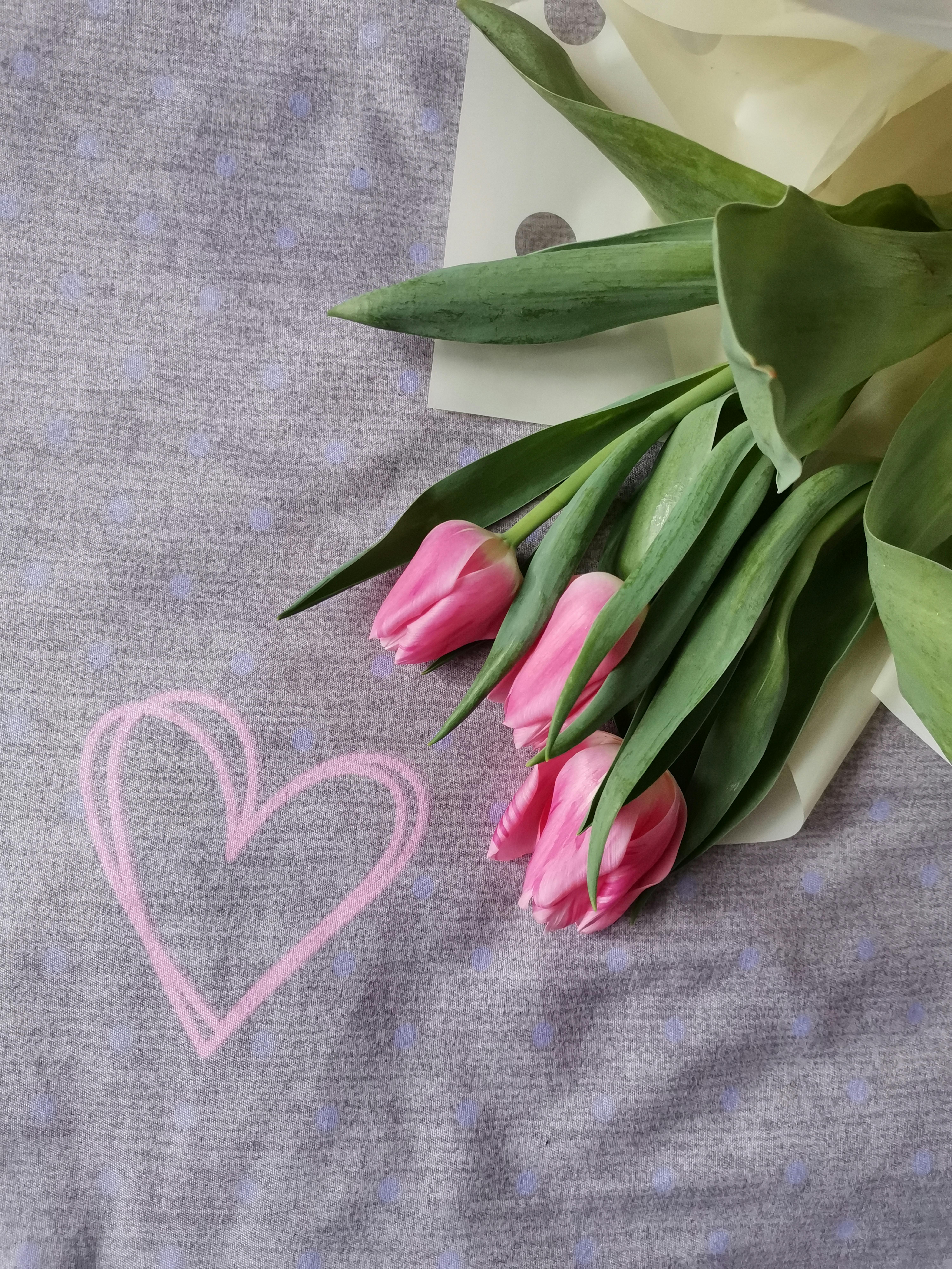 Hoa tulip tím là một trong những loại hoa đẹp nhất với màu sắc rực rỡ và thanh lịch. Hãy chiêm ngưỡng hình ảnh của những bông hoa tulip tím này và cảm nhận sự đẹp của chúng.