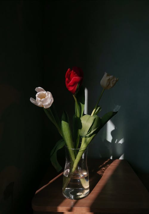 Red and Flowers in a Clear Vase with Water