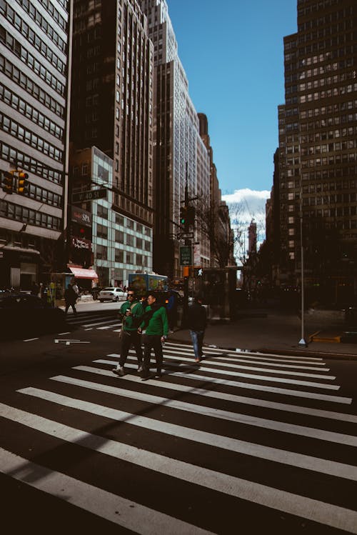 People Walking on Pedestrian Lane