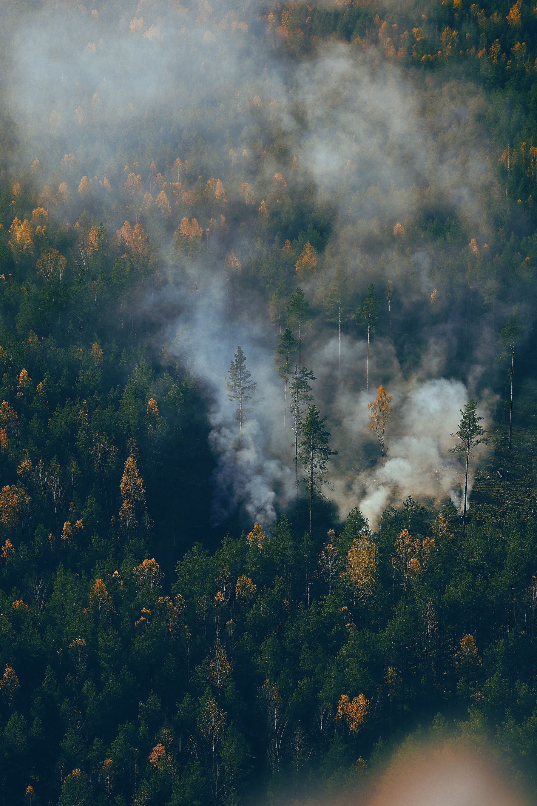 Wildfire behaviour changing