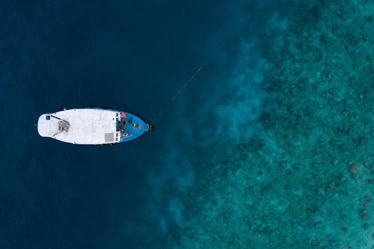 Motorboat Floating In Calm Sea