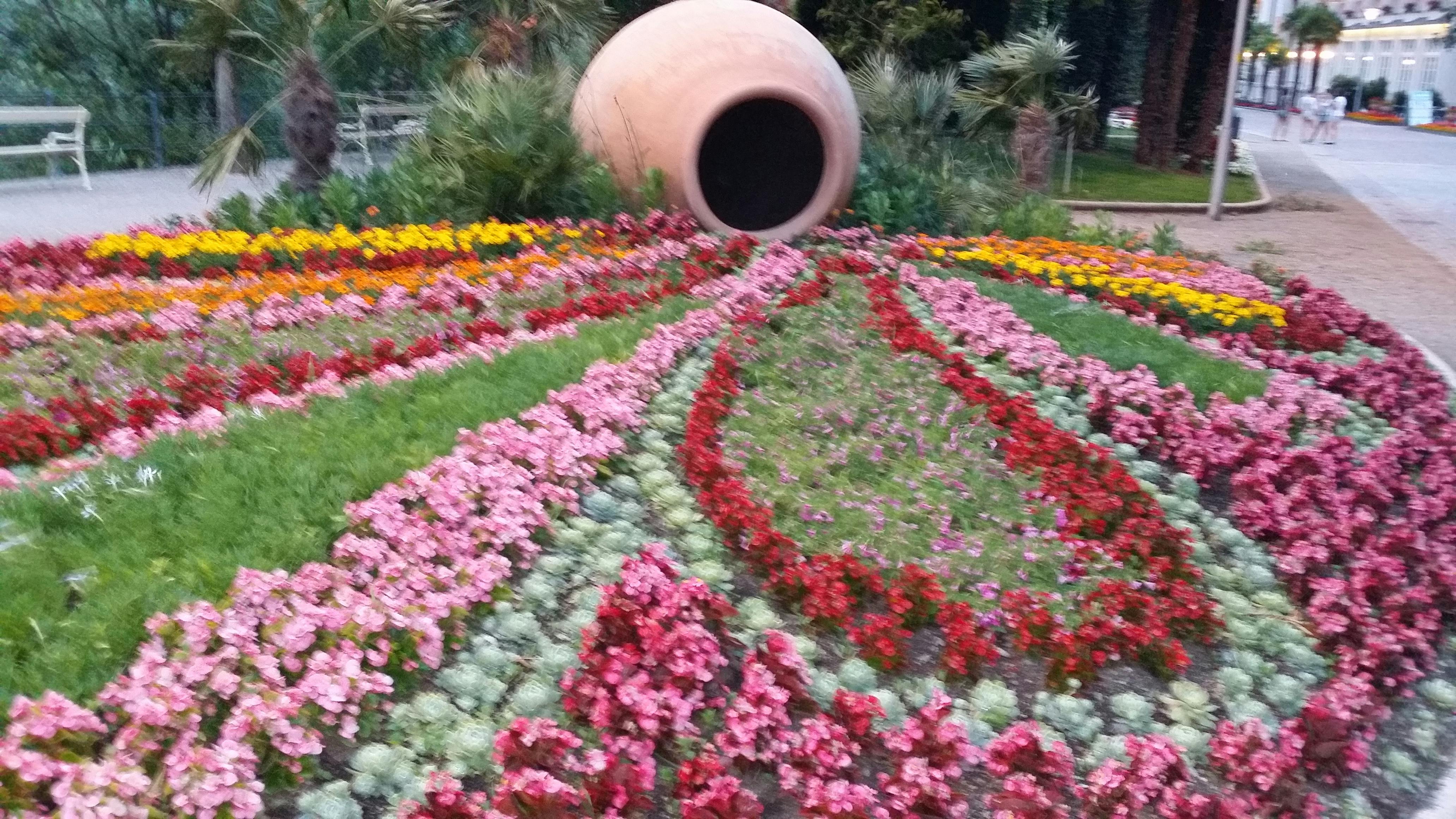 Free stock photo of flower garden, flowers