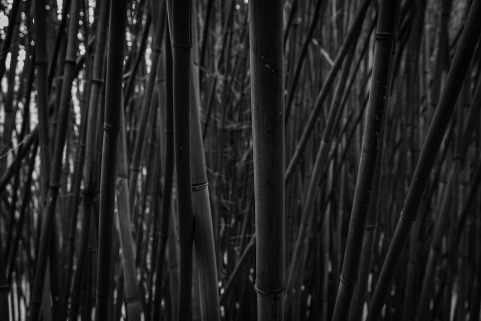 How eco-friendly is bamboo