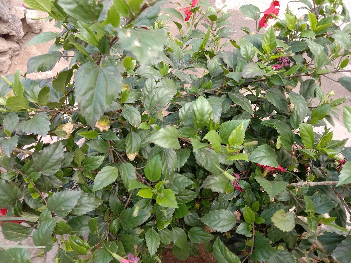 Hytale Was Dead, Then Got Uncancelled, And Now Its Creator Says Saving It Was a Miracle 2 Empty gaming office after layoffs