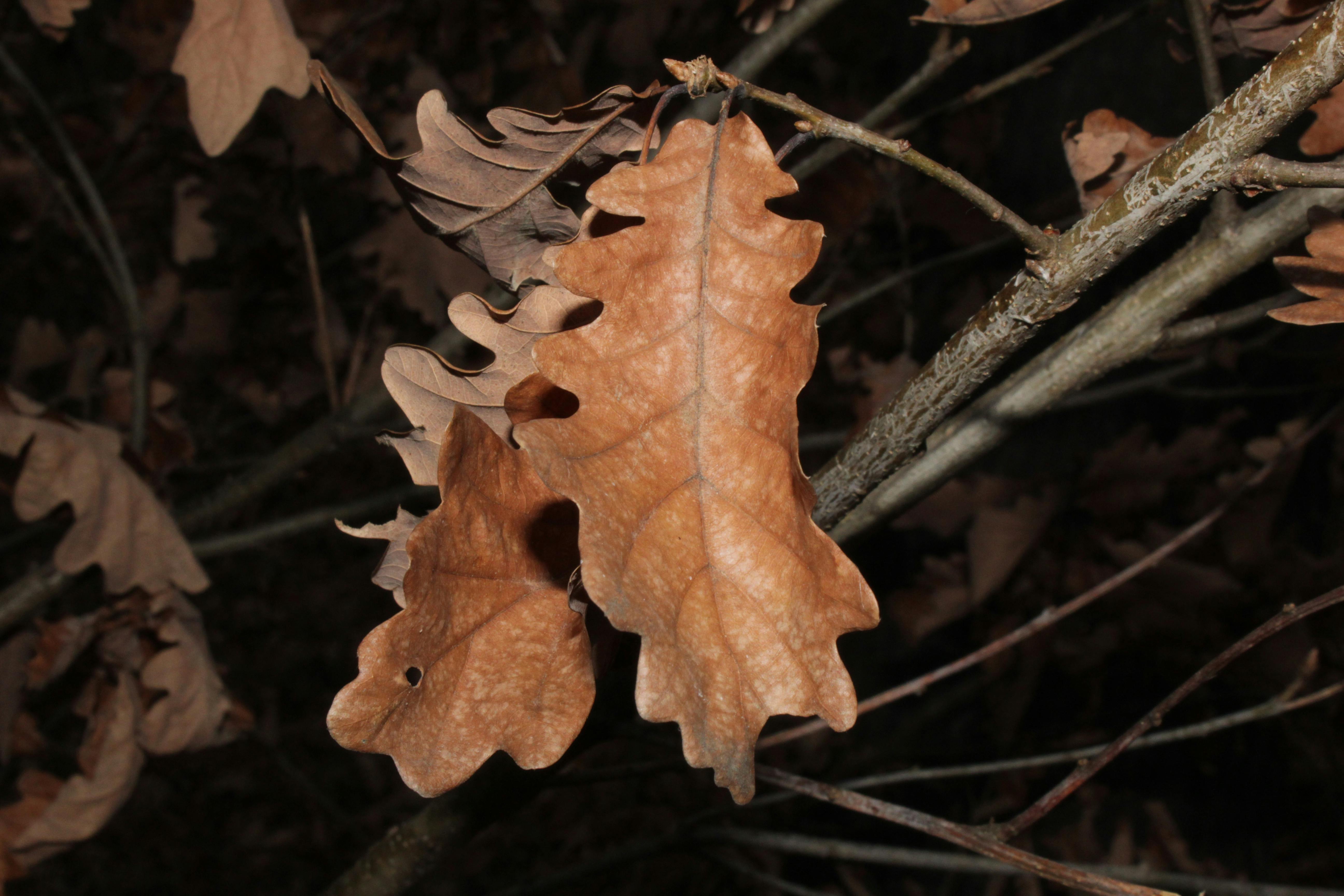 Culture geek & création