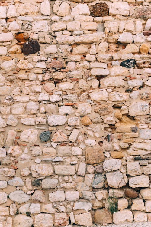 돌, 바위, 벽의 무료 스톡 사진