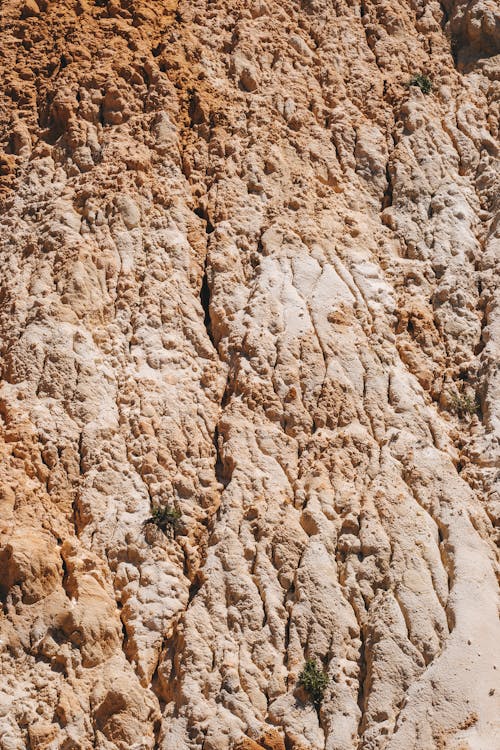 Gratis lagerfoto af lodret skud, rock, tæt på