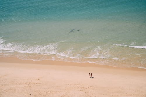 Бесплатное стоковое фото с Аэрофотосъемка, грохот волн, лето