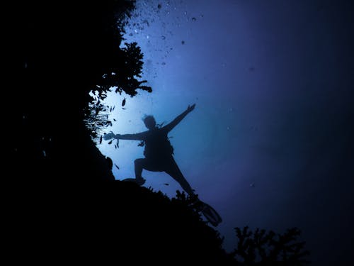 A Person Scuba Diving