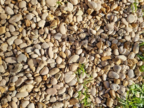 A Pile of Brown and Gray Stones on Ground with a Few Grass