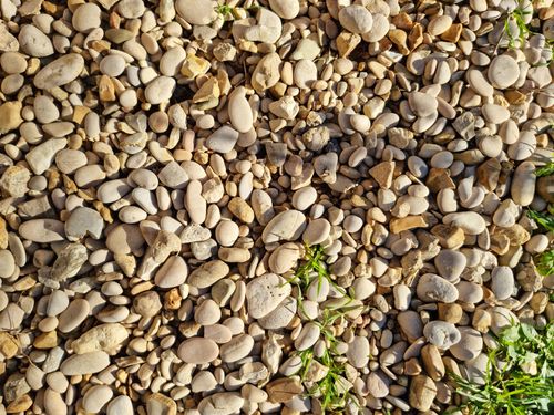 Free Sunlit arrangement of smooth pebbles on gravel ground with small green plants. Ideal for nature-themed imagery. Stock Photo