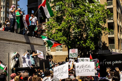 afişlerin, aktivizm, bayraklar içeren Ücretsiz stok fotoğraf