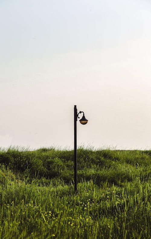 Gratis stockfoto met groen gras, heldere lucht, lamp