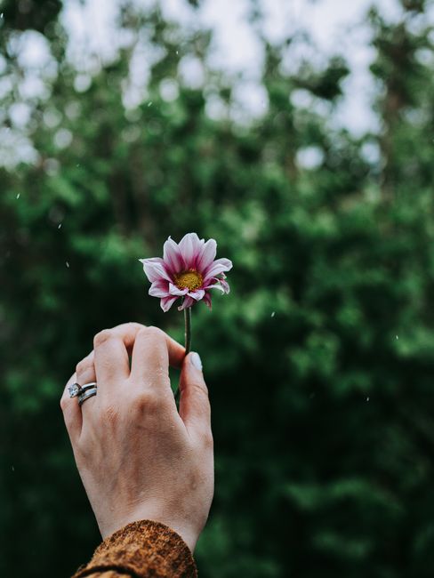 An elegant hand holding a flower in a green outdoor environment, capturing natural beauty.
