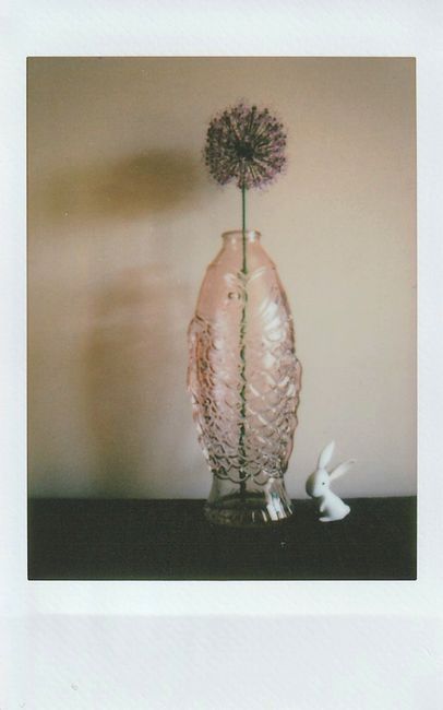 Vintage film-style photo of a flower in vase beside a small figurine.