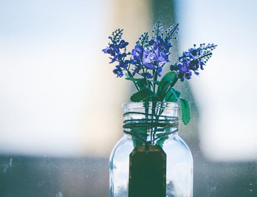 Close-Up Photography of Purple Flowers in Clear Glass Vase