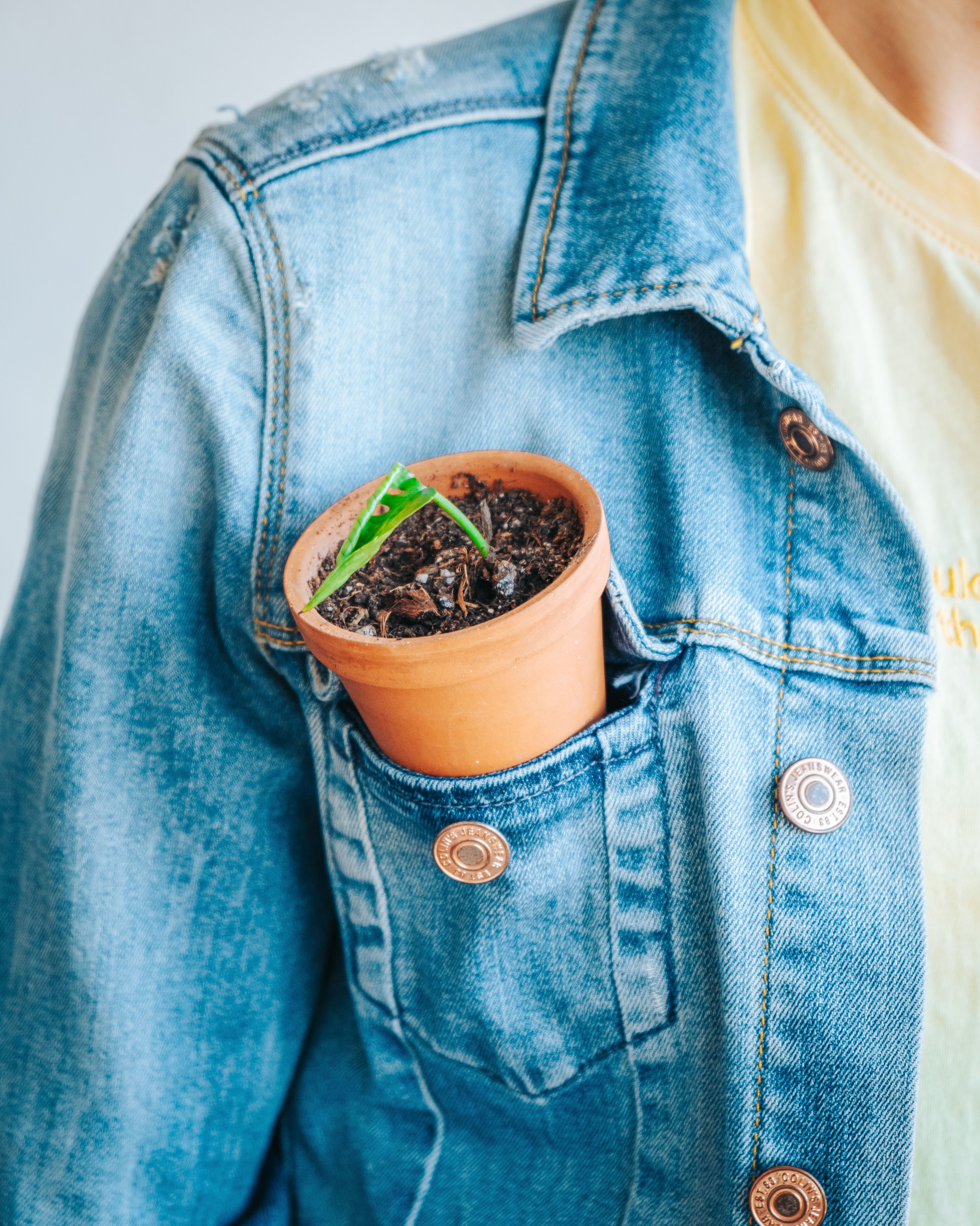 Pocket Pot Photos, Download The BEST Free Pocket Pot Stock Photos & HD ...