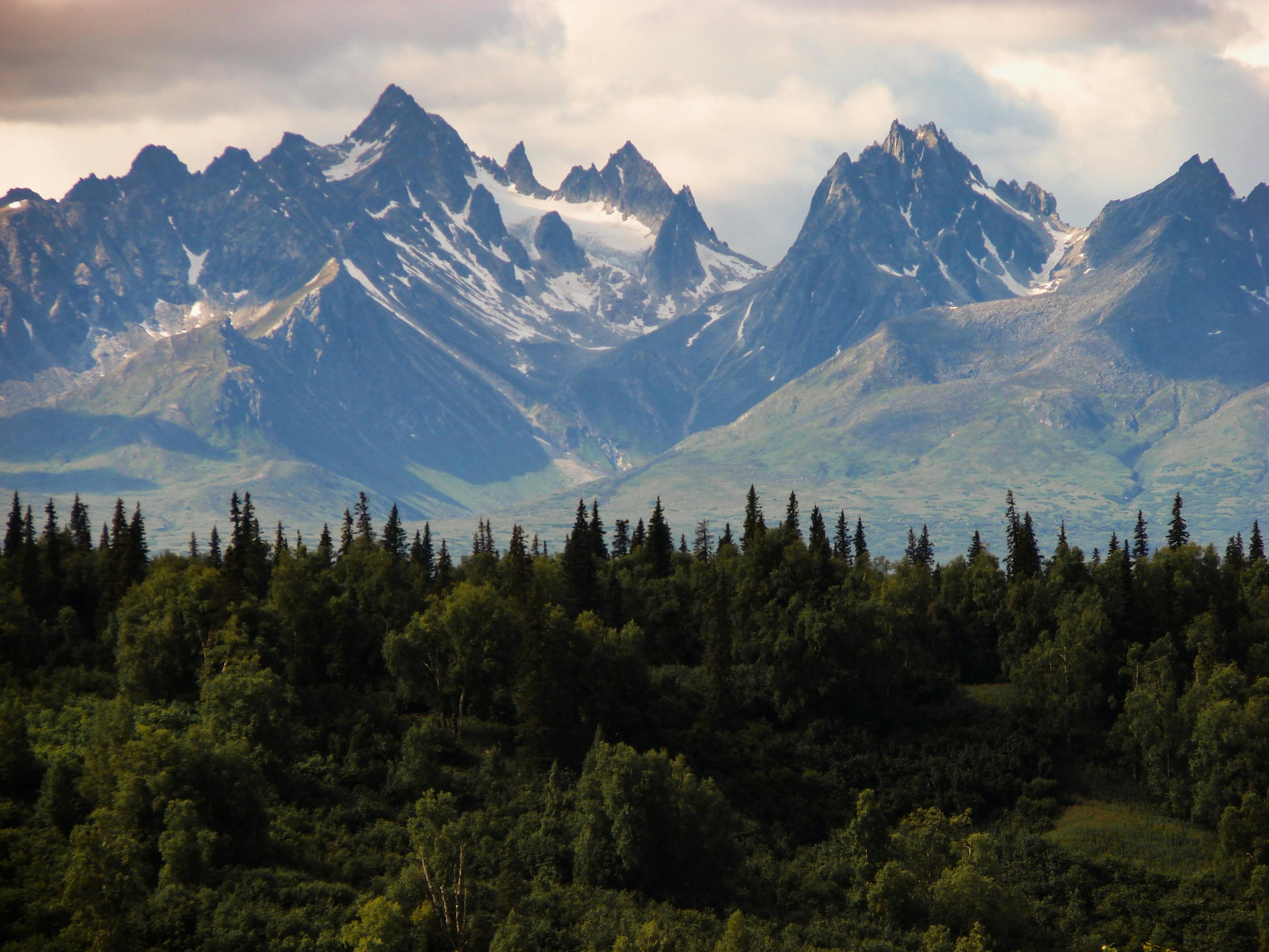 1000 Free Alaska  Nature Images  Pixabay