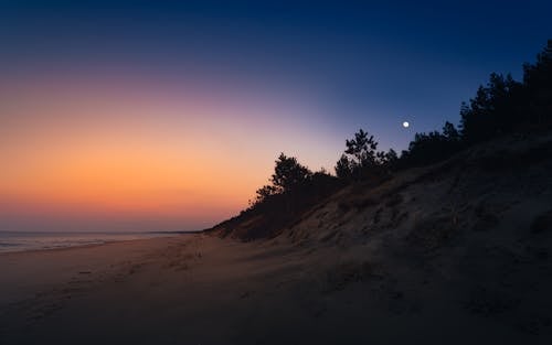 Безкоштовне стокове фото на тему «вечір, вода, дерева»