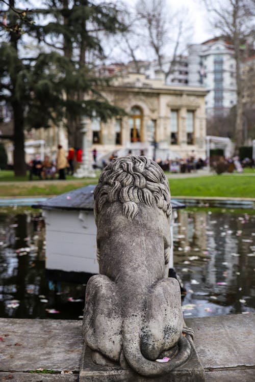 Back of a Lion Statue by a Pond