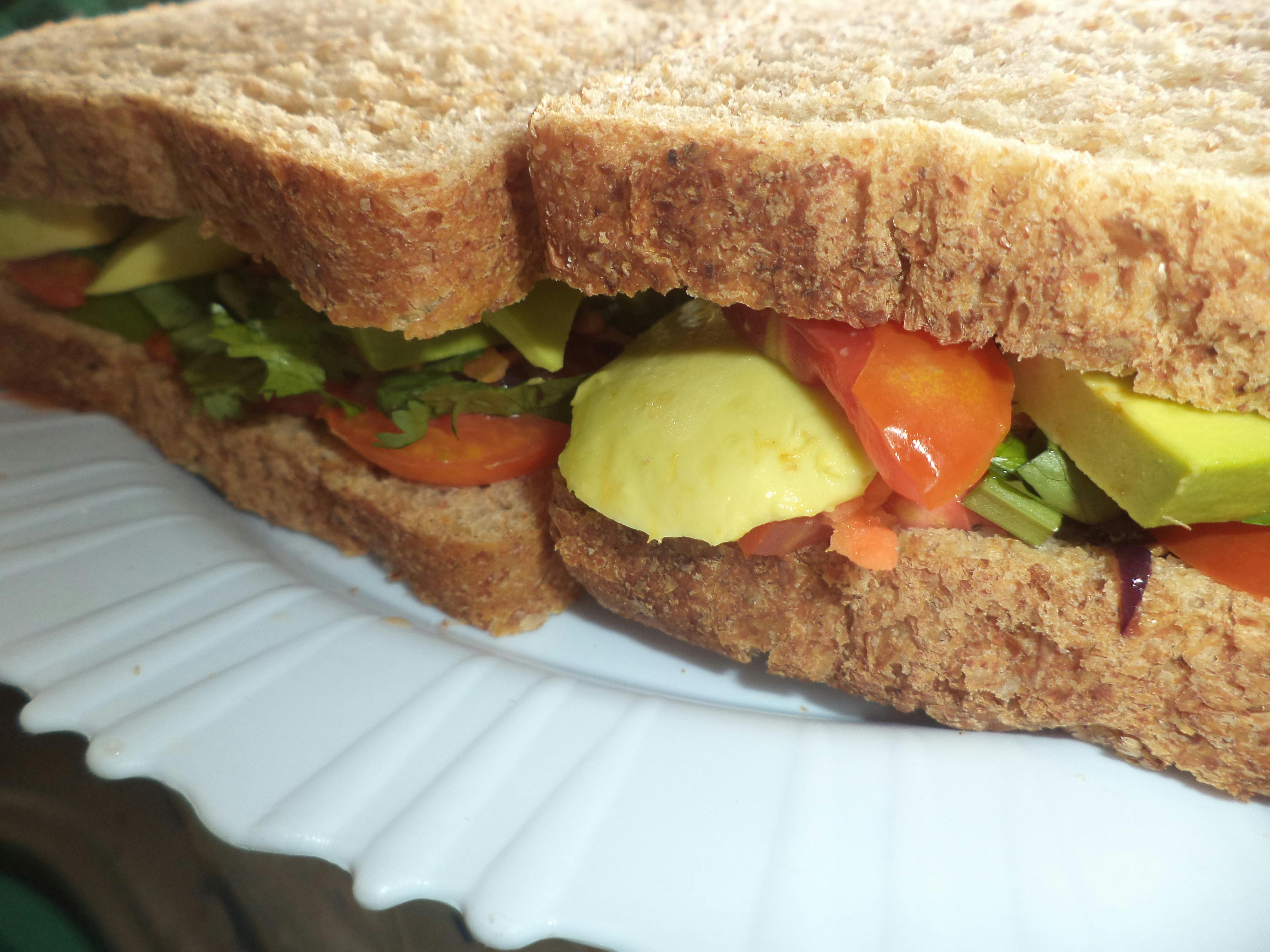 Free stock photo of avocado, brown bread, sandwich