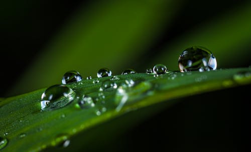Macro Photography of Water Drops