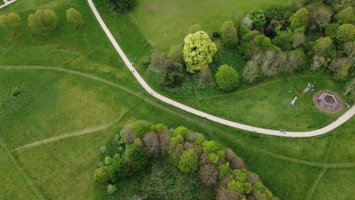 俯視圖, 天性, 樹木 的 免費圖庫相片