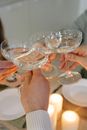Person Holding Clear Wine Glass