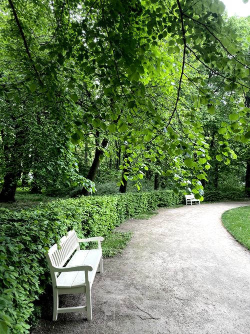 Free A serene park pathway with white benches amidst lush green foliage in Warsaw, perfect for relaxation. Stock Photo