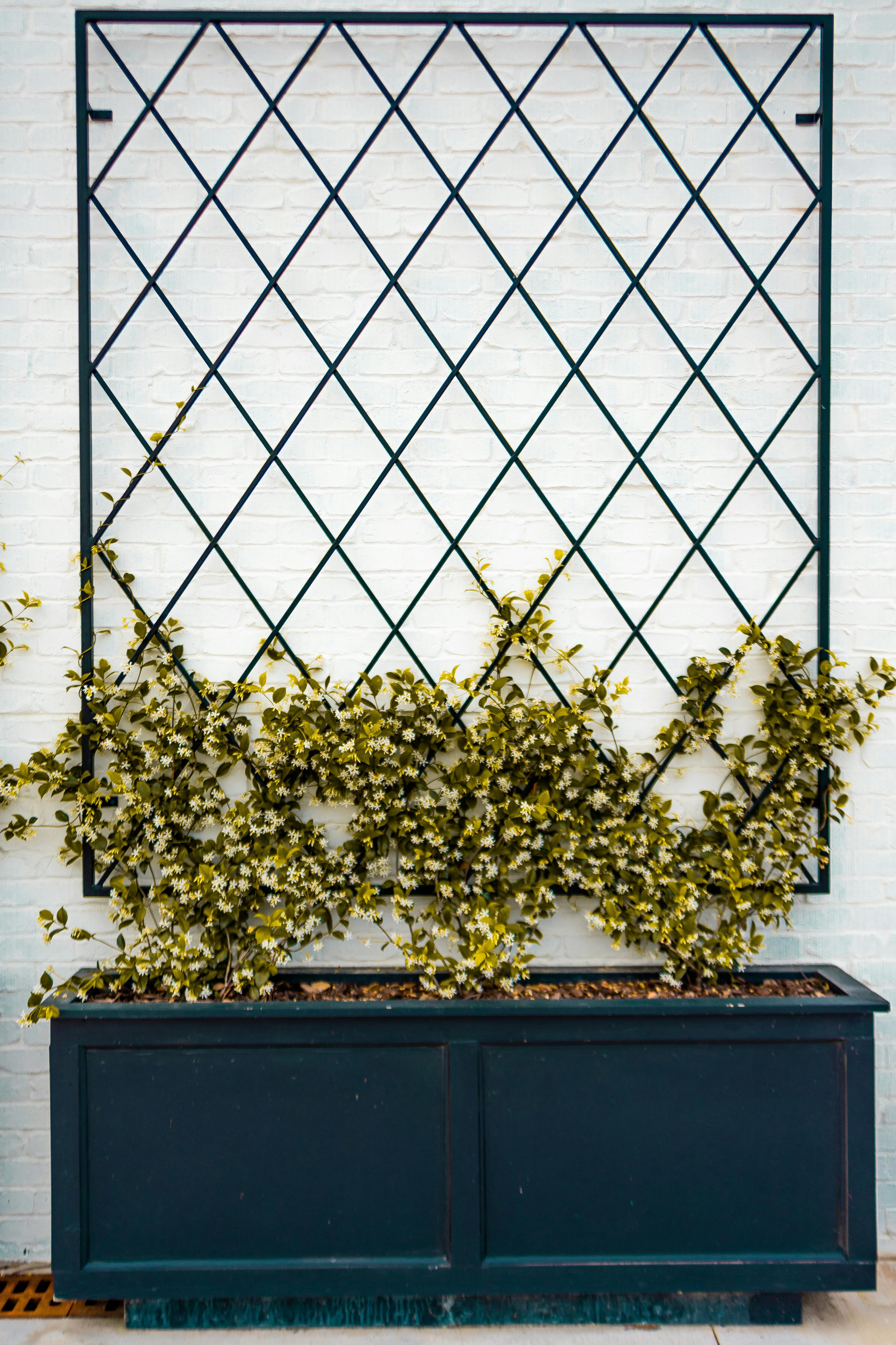 Rankgitter Metall schwarz Vergleich 2026