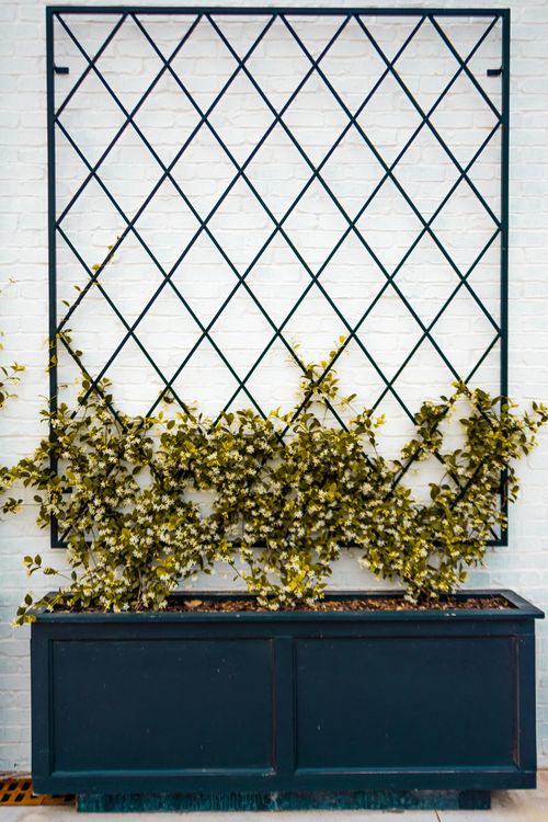 Lattice Details