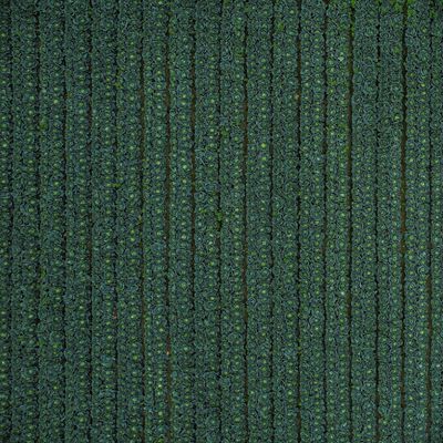 Neat crop rows seen from above, photo by jin itami on Pexels