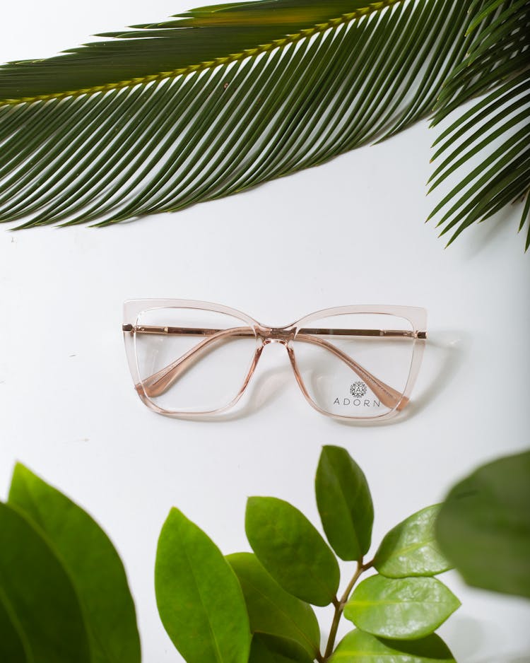 Creative Design Of Glasses Between Exotic Plant Leaves