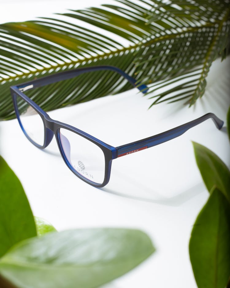 Creative Design Of Eyewear Among Plant Leaves