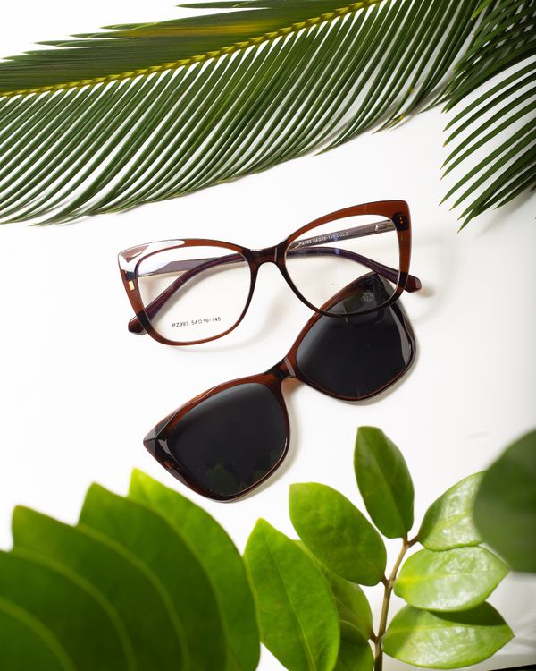 Minimalist studio display of premium eyeglasses and sunglasses