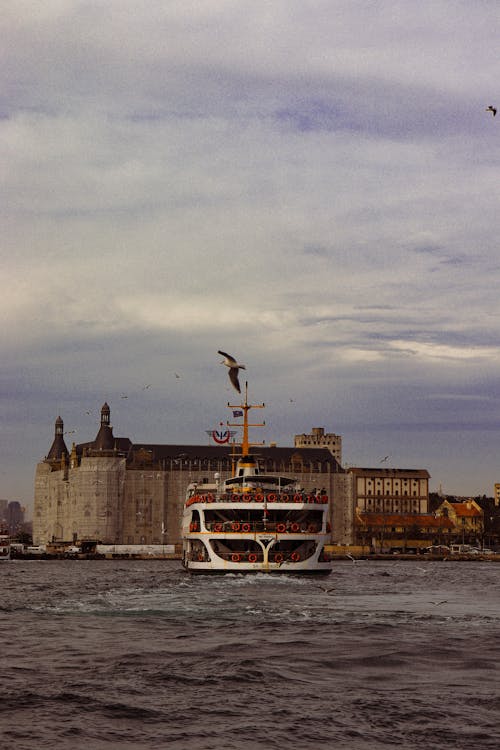 Ferry on a River, City Building in Background and Seagull in Sky