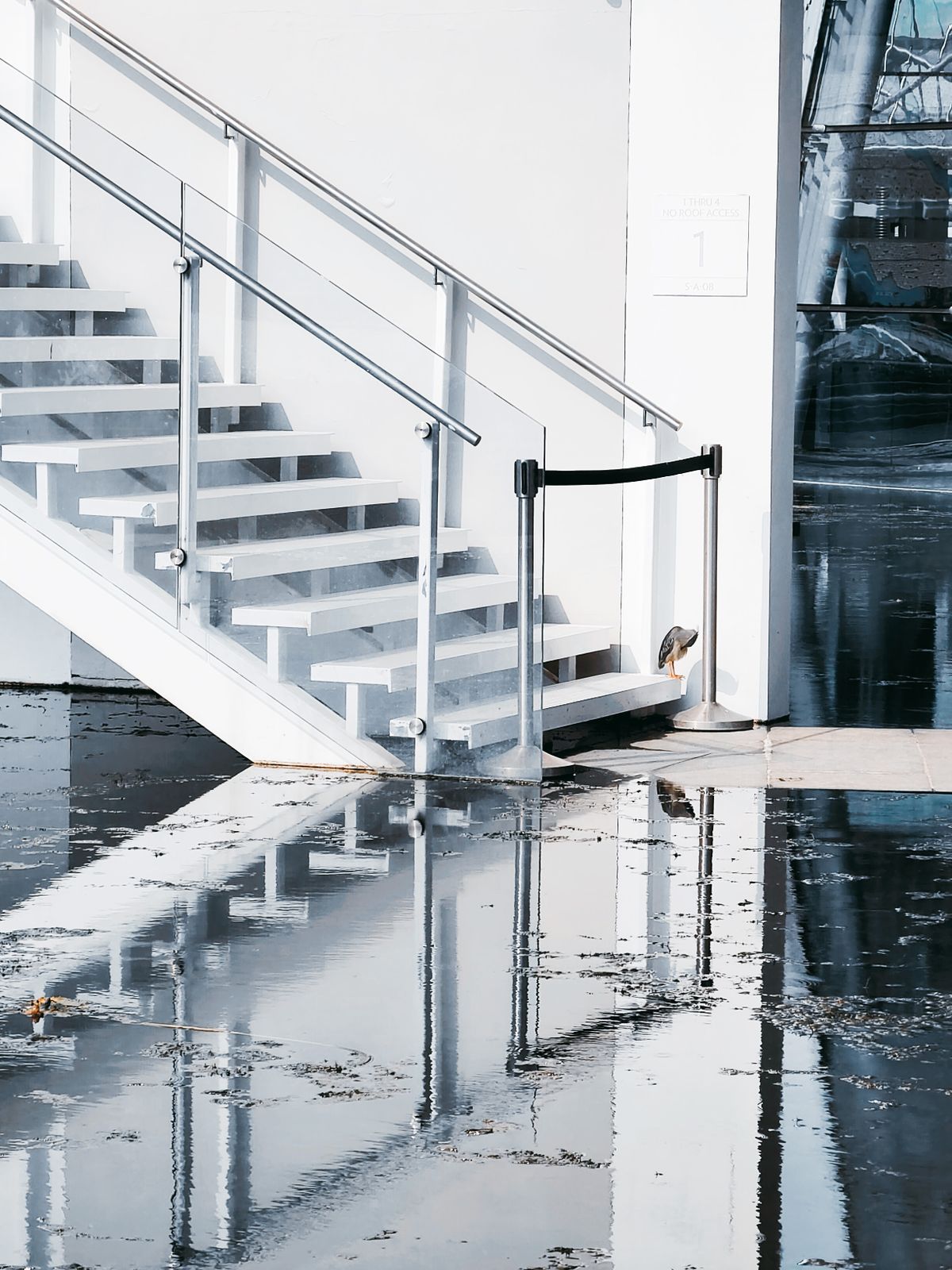 Standing water from a residential flooding event