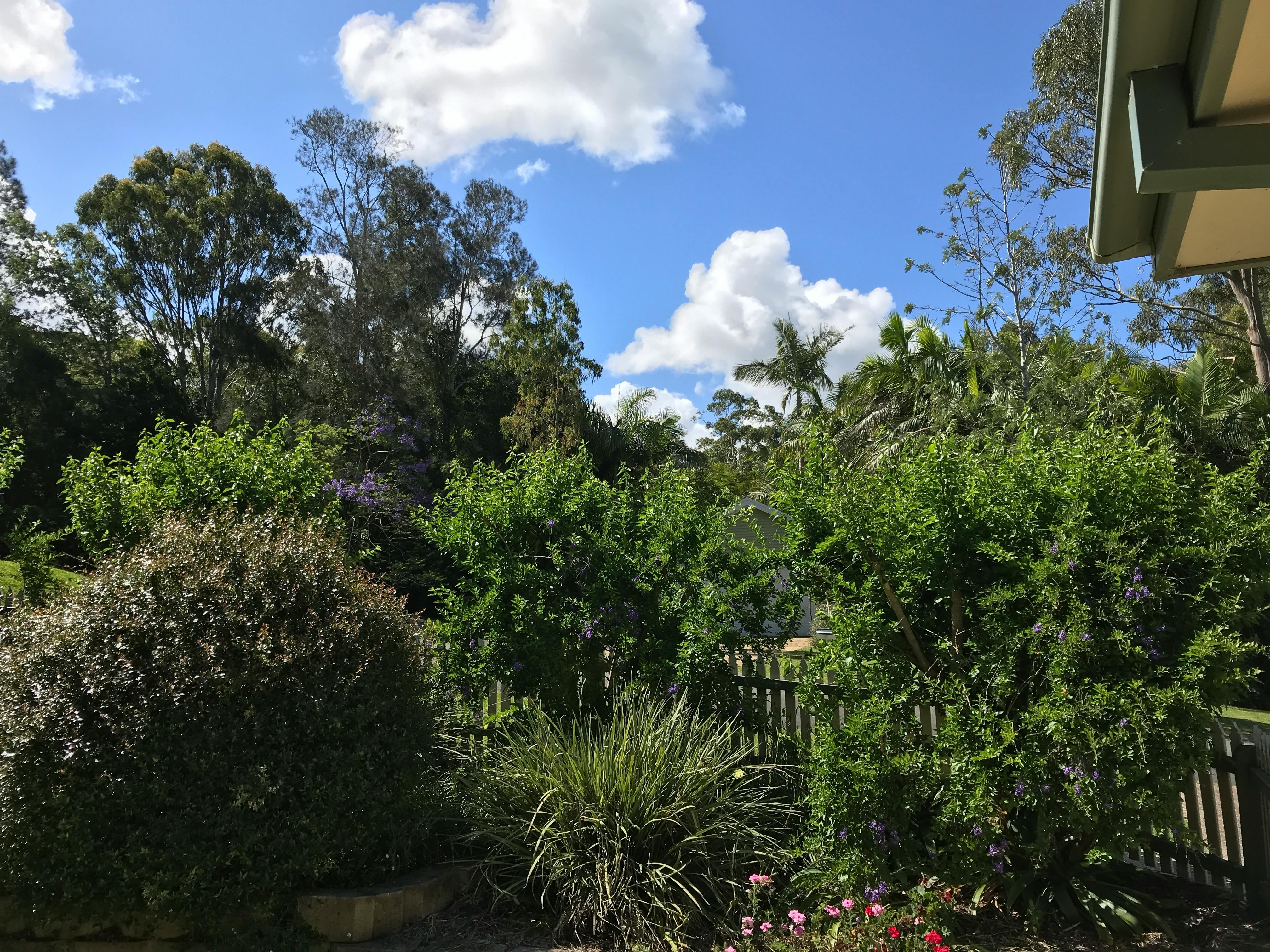 Free stock photo of front yard