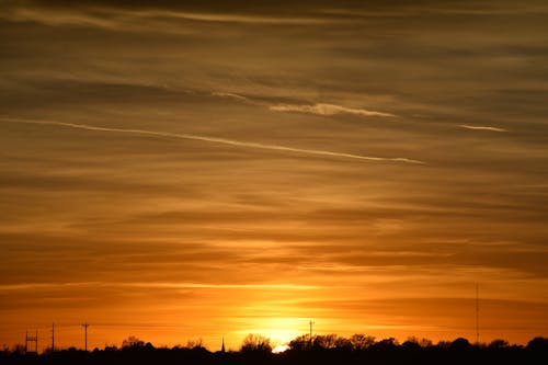 Free Silhouette Photo of Trees during Golden Hour Stock Photo