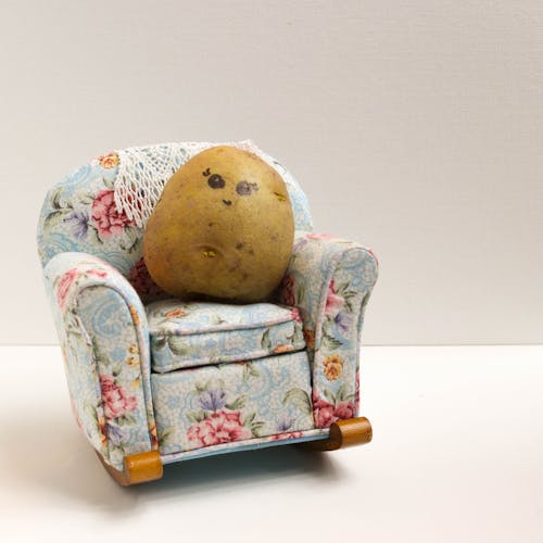 Free stock photo of couch potato, food, potato