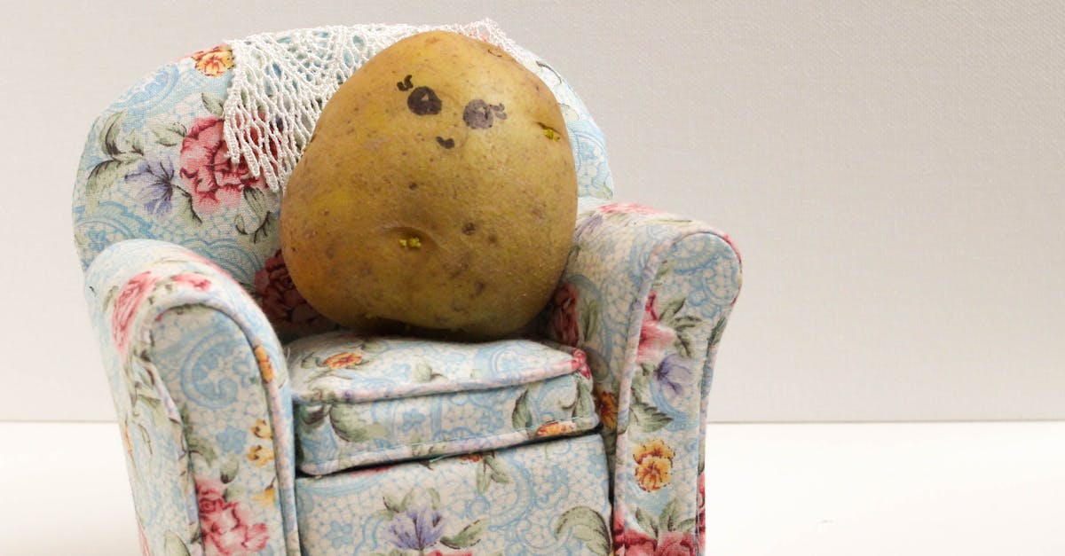 Free stock photo of couch potato, food, potato