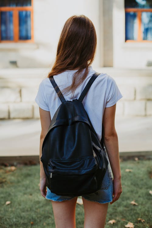 Free stock photo of back, backpack, baku