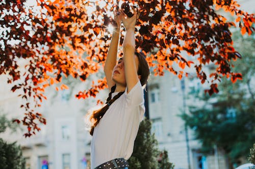 木の下で手を上げる女性の選択的な写真