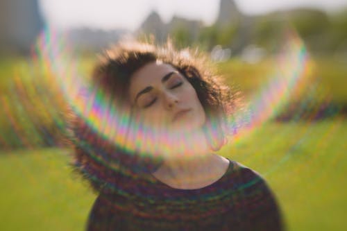 Free stock photo of curly, green, sunlight