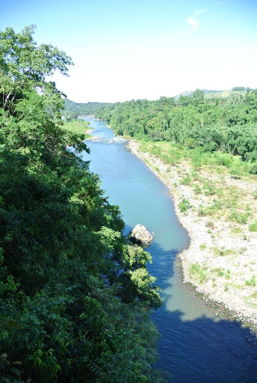 Free stock photo of forest, river Stock Photo