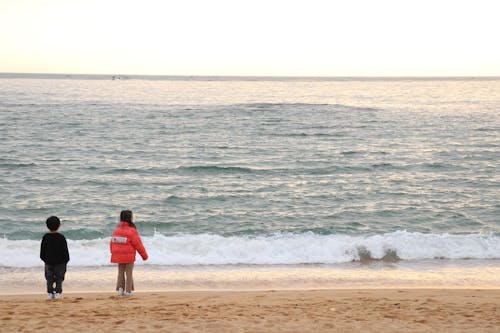 Free stock photo of kids, sea