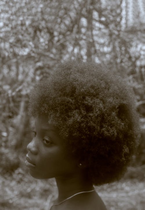 Black and white of African American young female with curly Afro hairstyle in summer garden